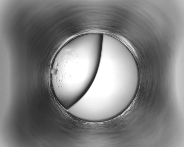 X0000096421244200801240957