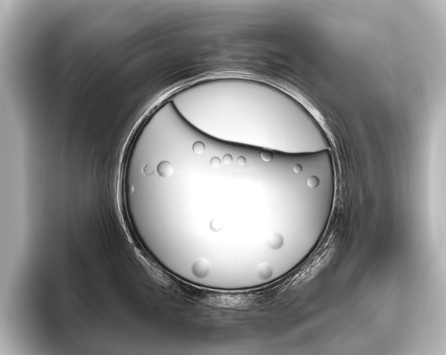 X0000096421245200801240957