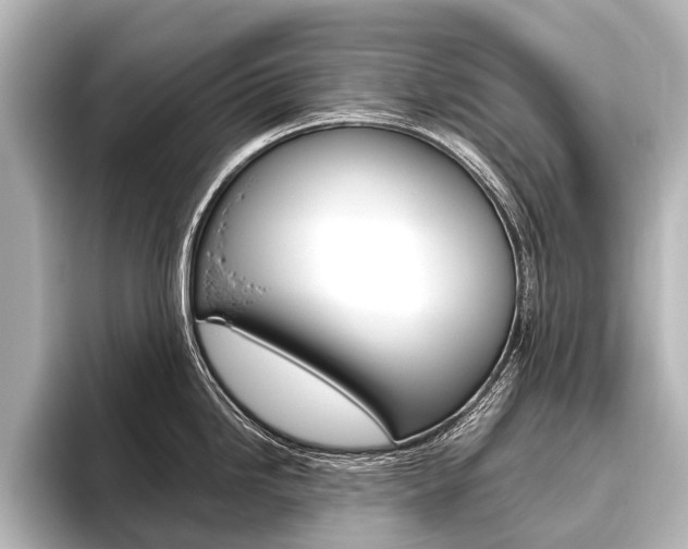 X0000096421246200801240957