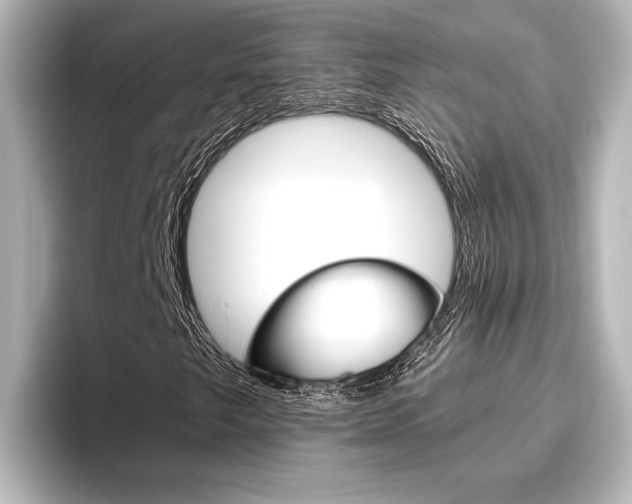 X0000096421249200801240956