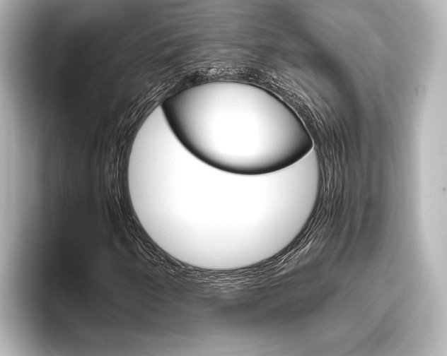 X0000096421250200801240956