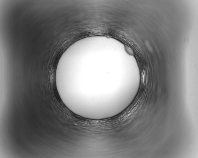 X0000096421251200801240956