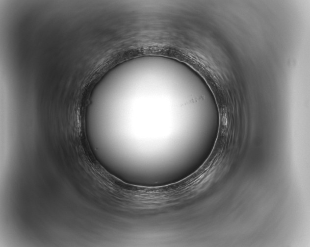 X0000096421252200801240956