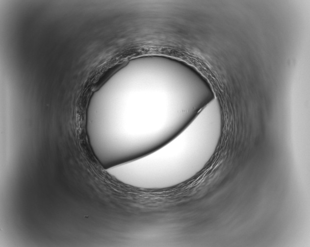 X0000096421253200801240956