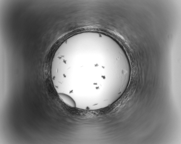 X0000096421255200801240956