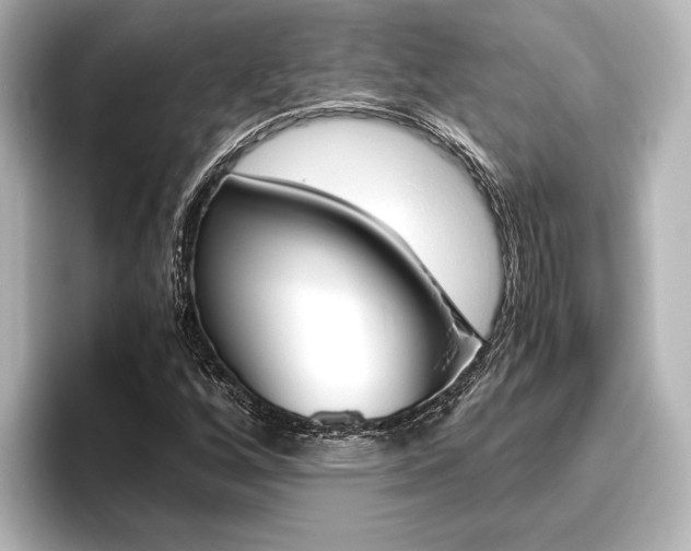 X0000096421256200801240956