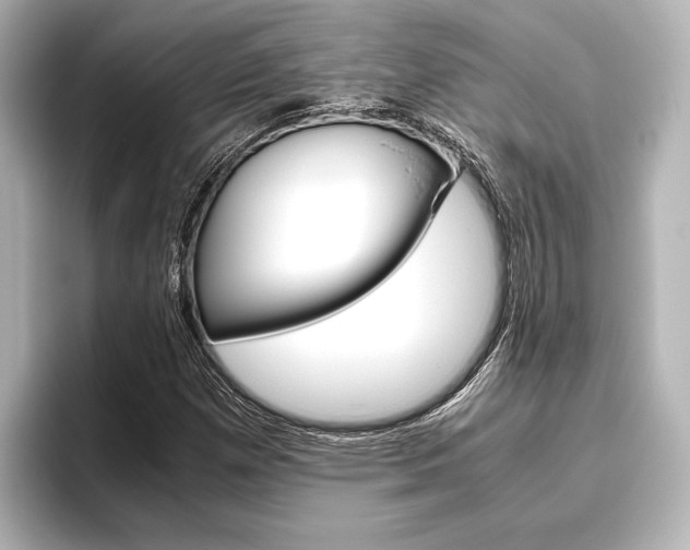 X0000096421257200801240956
