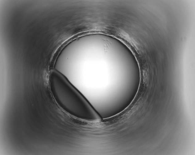 X0000096421260200801240956