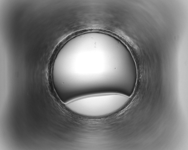X0000096421264200801240956