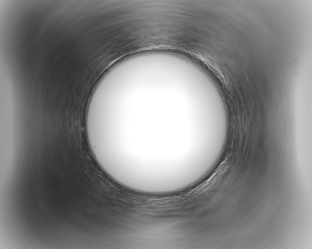 X0000096421265200801240956