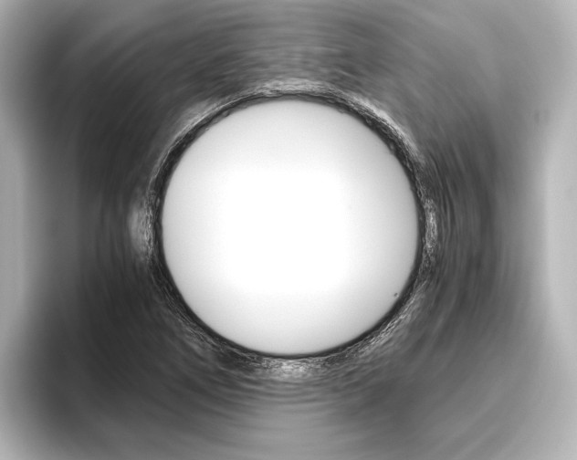 X0000096421266200801240956
