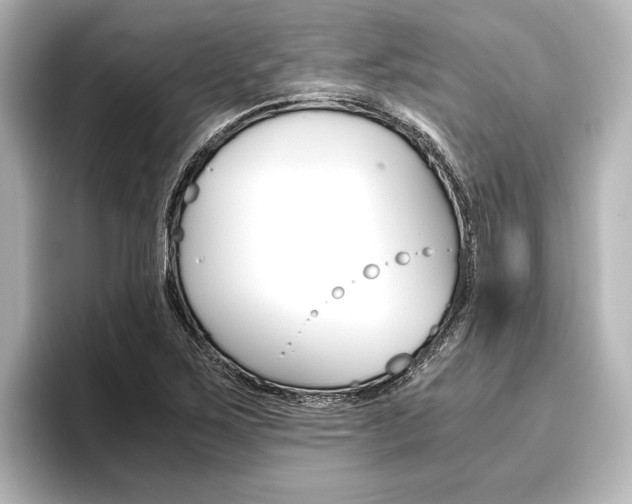 X0000096421267200801240956
