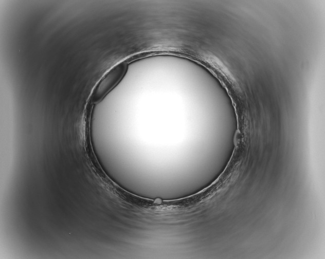 X0000096421268200801240956