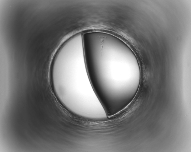 X0000096421272200801240956