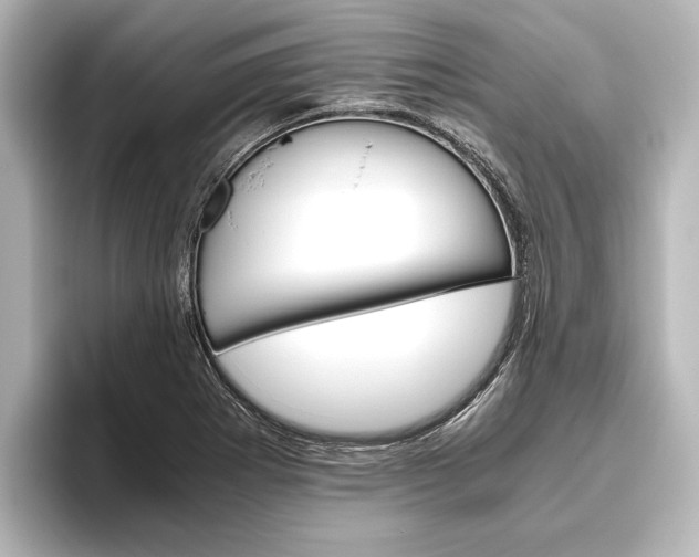 X0000096421273200801240956