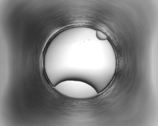 X0000096421275200801240956
