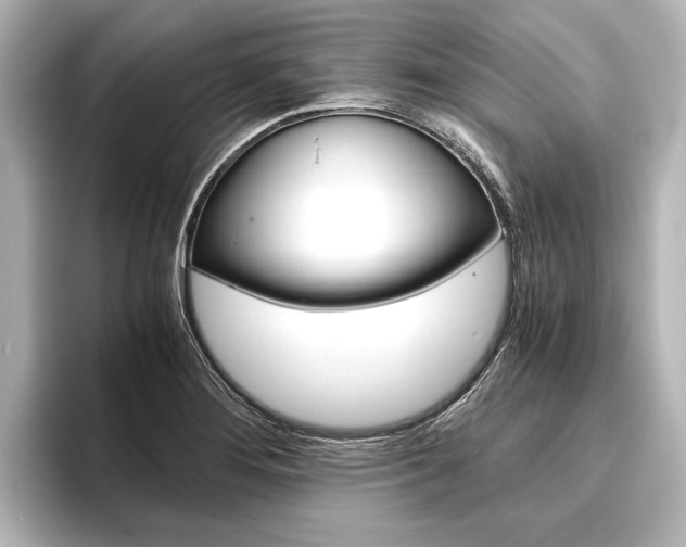 X0000096421276200801240956