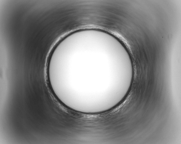 X0000096421278200801240956