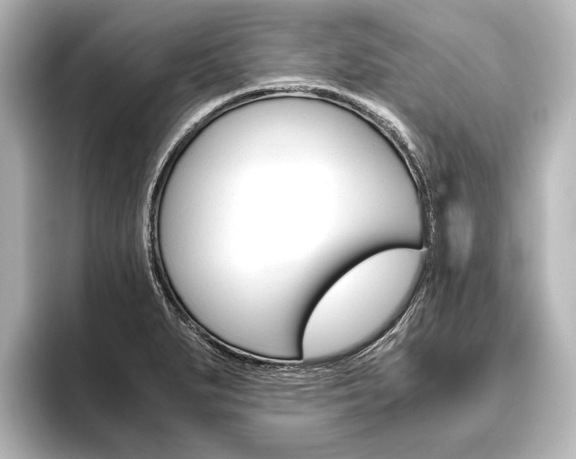 X0000096421279200801240956