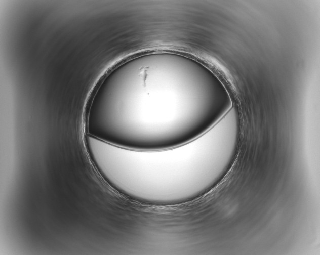 X0000096421280200801240956