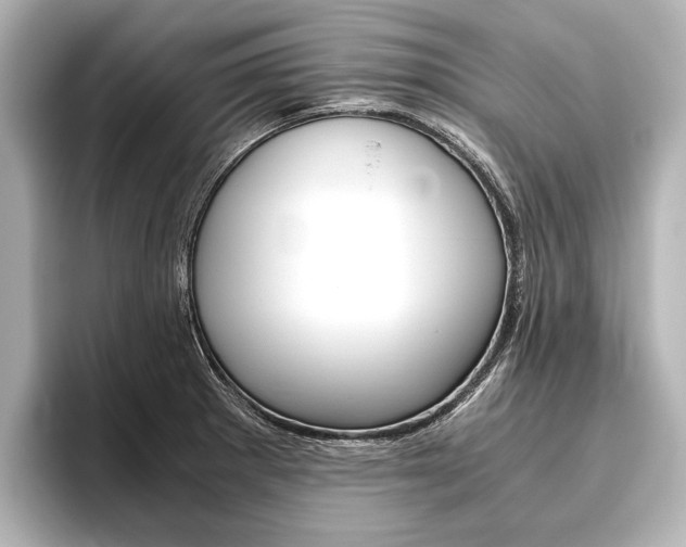 X0000096421281200801240956
