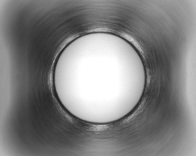 X0000096421282200801240956
