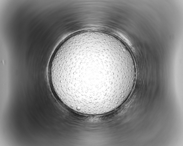 X0000096421283200801240956