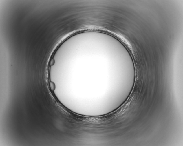 X0000096421287200801240956