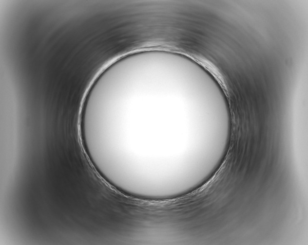 X0000096421288200801240956
