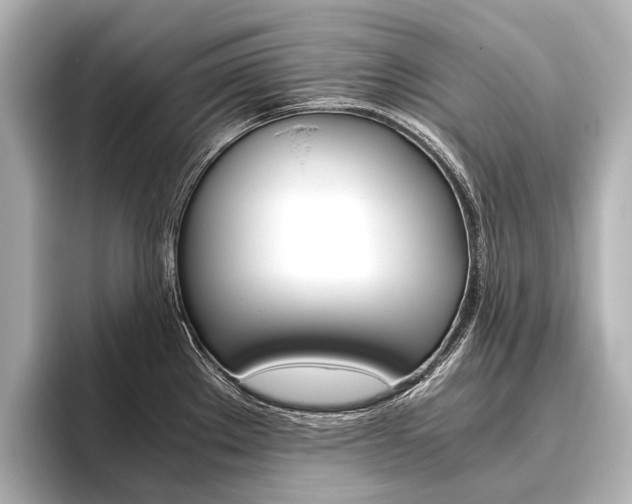 X0000096421289200801240956