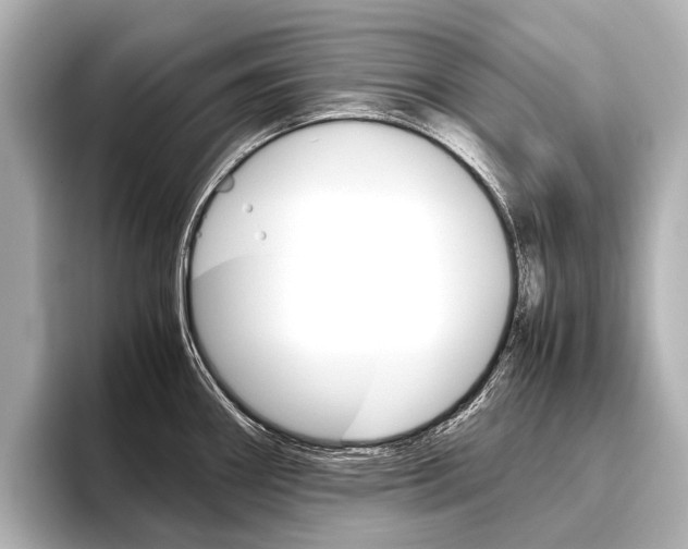 X0000096421290200801240956