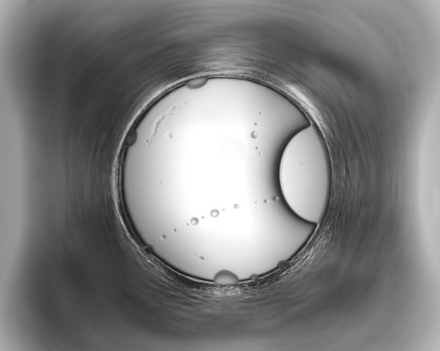 X0000096421291200801240956