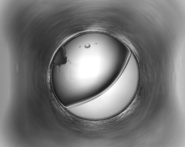 X0000096421292200801240956