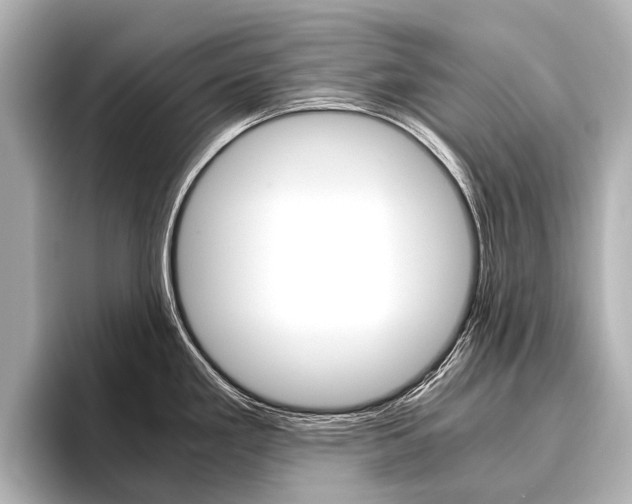 X0000096421293200801240956