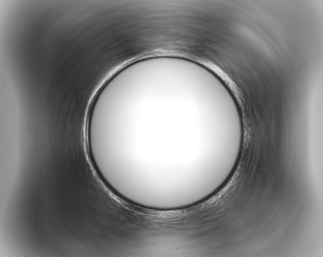X0000096421294200801240956