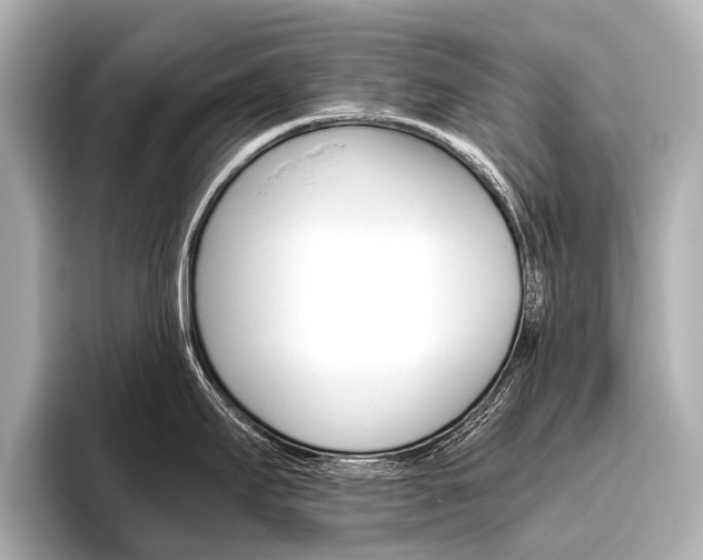 X0000096421295200801240956