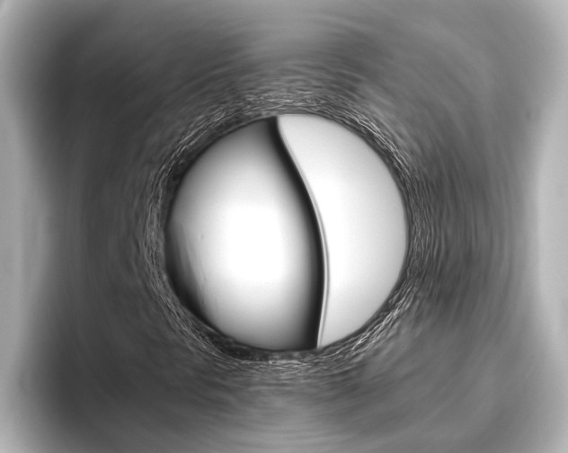 X0000096421297200801240955
