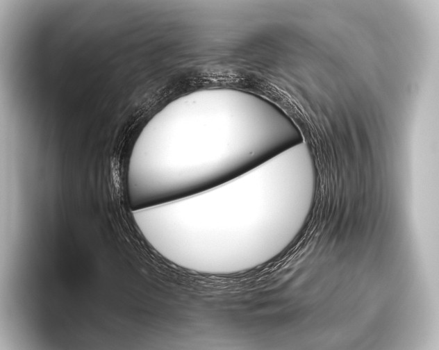 X0000096421298200801240955