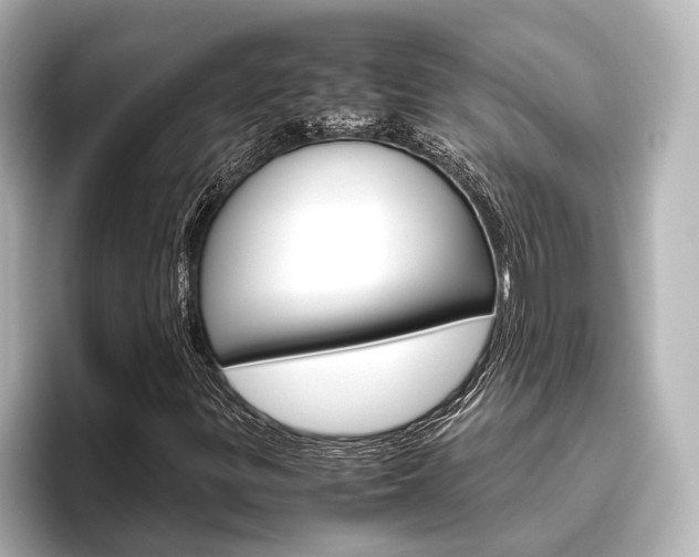 X0000096421299200801240955