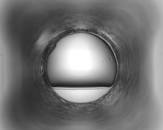 X0000096421303200801240955