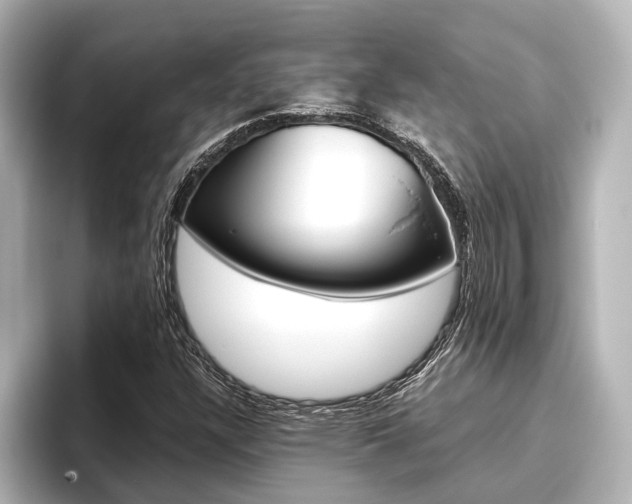 X0000096421304200801240955