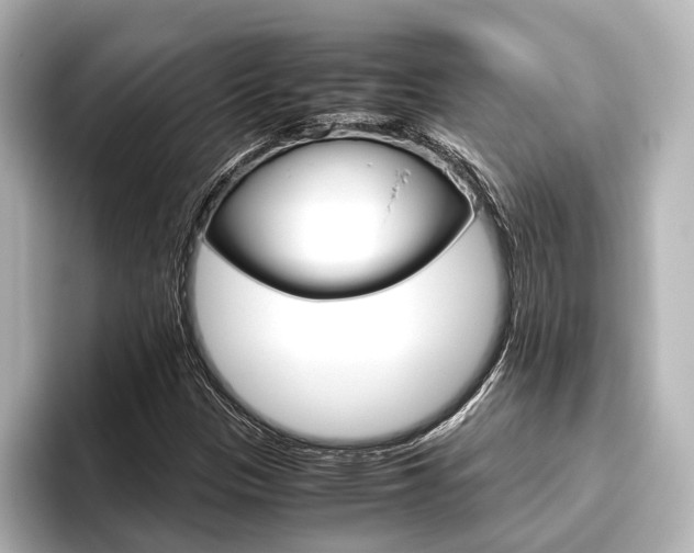 X0000096421305200801240955