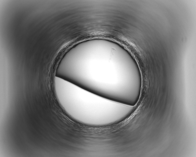 X0000096421306200801240955