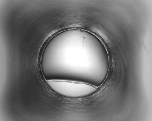 X0000096421308200801240955
