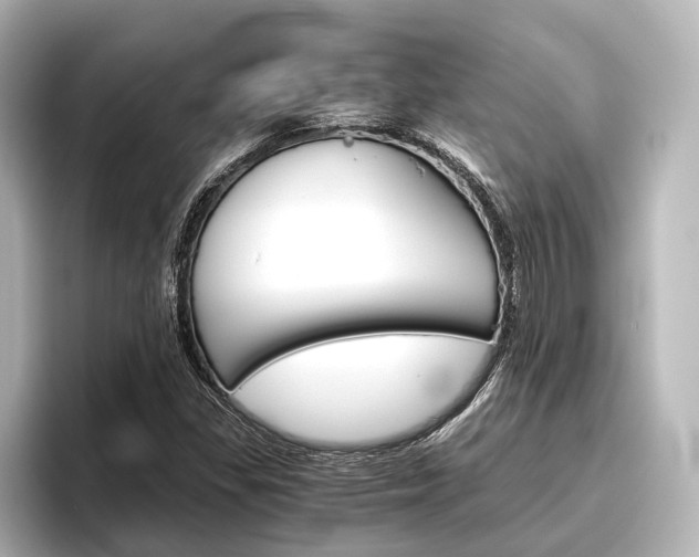 X0000096421309200801240955