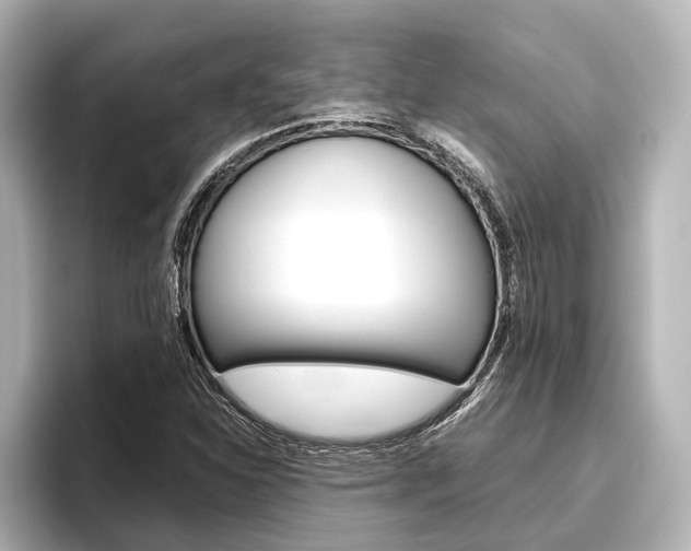 X0000096421310200801240955