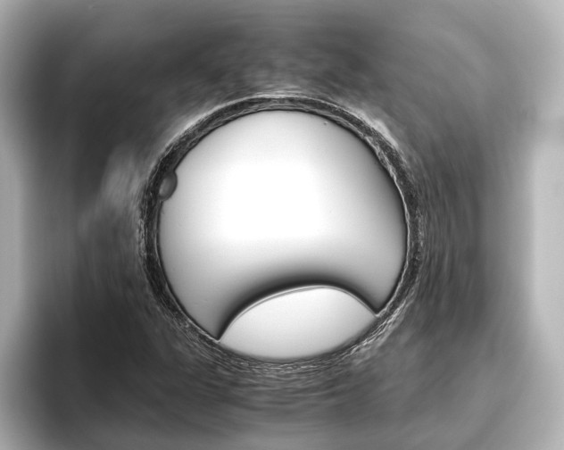 X0000096421311200801240955