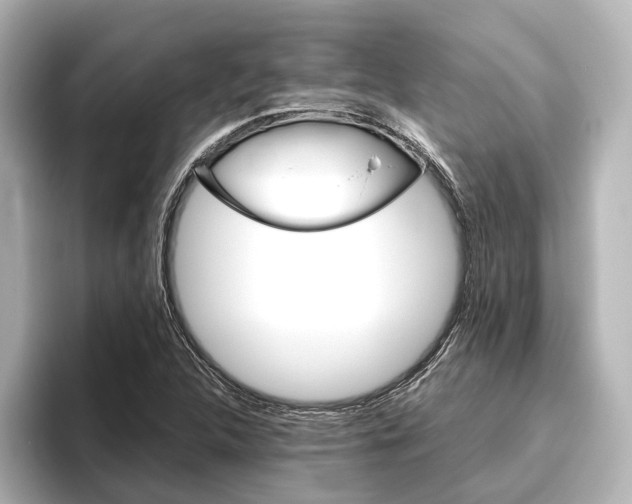 X0000096421312200801240955