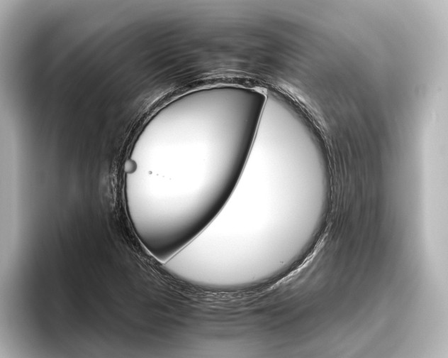 X0000096421313200801240955
