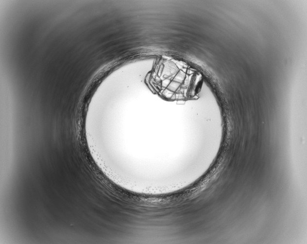 X0000096421314200801240955